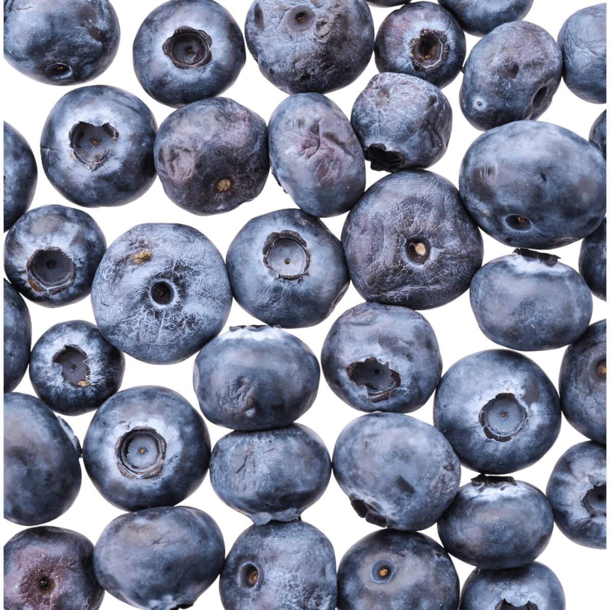 Gros plan de myrtilles fraîches, ingrédient naturel souvent associé aux boissons fruitées. Texture juteuse et couleur bleu-violet intense.